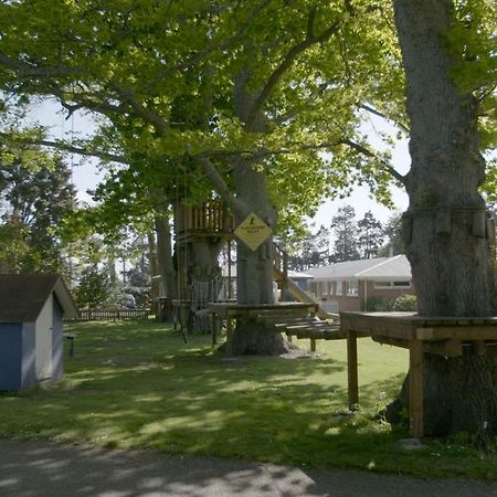 Te Aroha Holiday Park And Motels 외부 사진