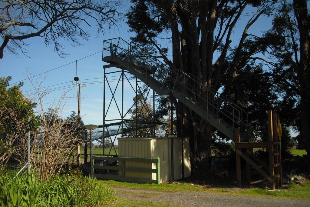 Te Aroha Holiday Park And Motels 외부 사진